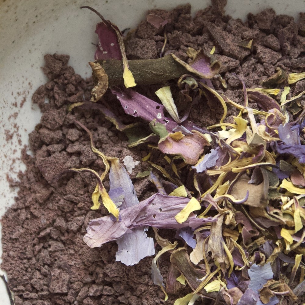 FLORA — cacao and flowers