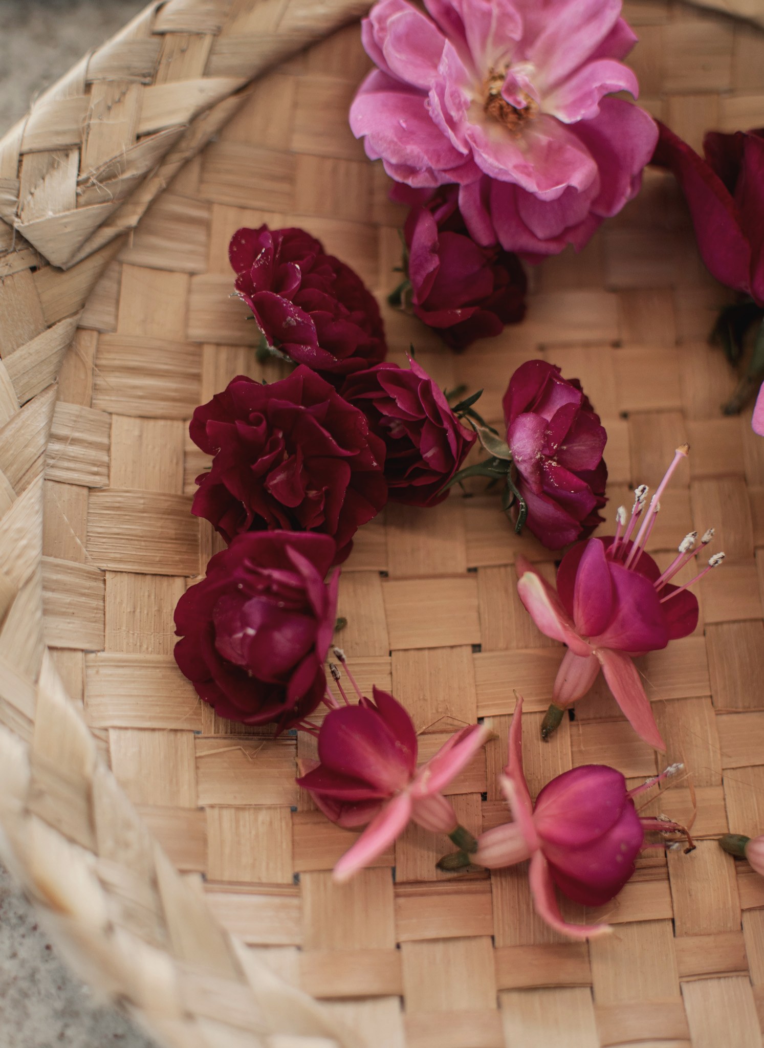 Restore with Flowers retreat — Sintra Mountains