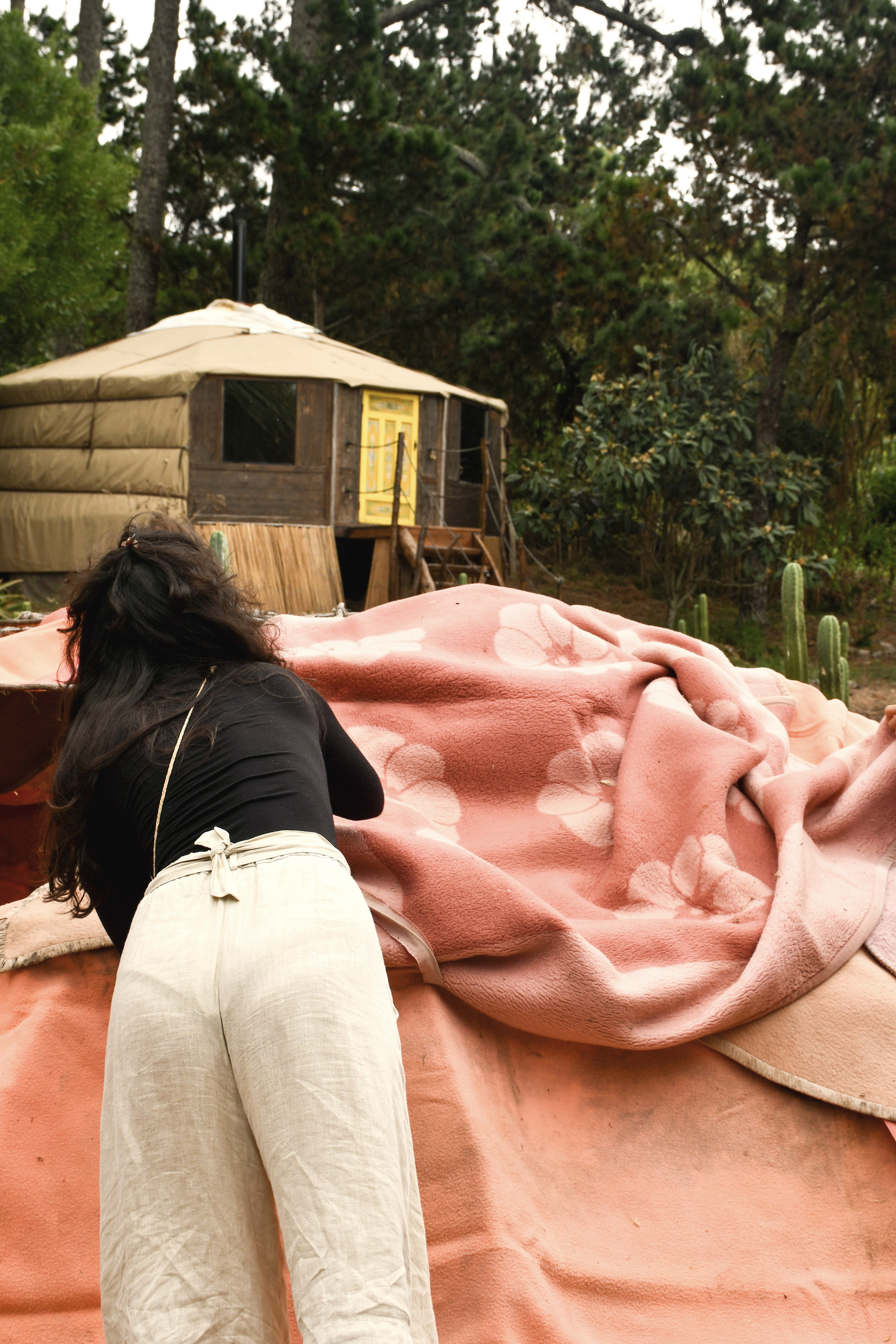 temazcal